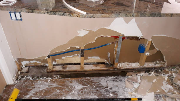Best Fire Damage Restoration  in Helena Flats, MT