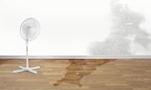 Best Commercial water damage restoration  in Helena Flats, MT