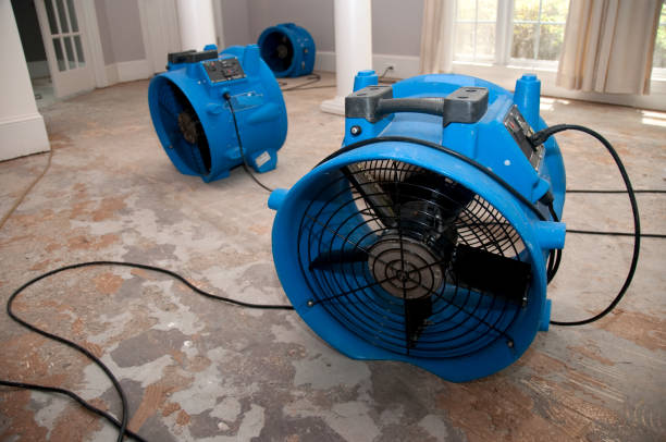 Professional Water damage restoration in Helena Flats, MT