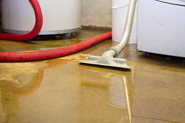 Best Basement water damage restoration  in Helena Flats, MT