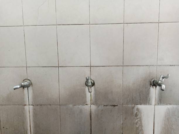 Best Commercial water damage restoration  in Helena Flats, MT