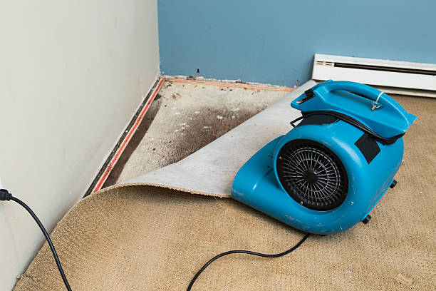 Best Flood restoration services  in Helena Flats, MT